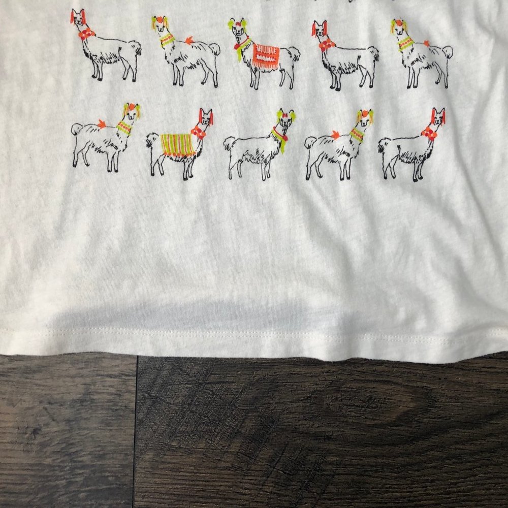 J.CREW Collector Llama Alpaca Tee Shirt - Picture 4 of 6